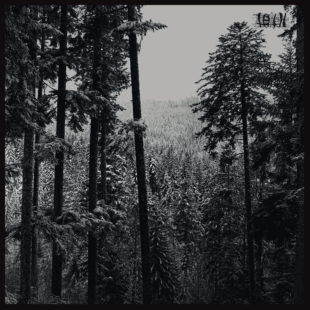 Loth – Loth
