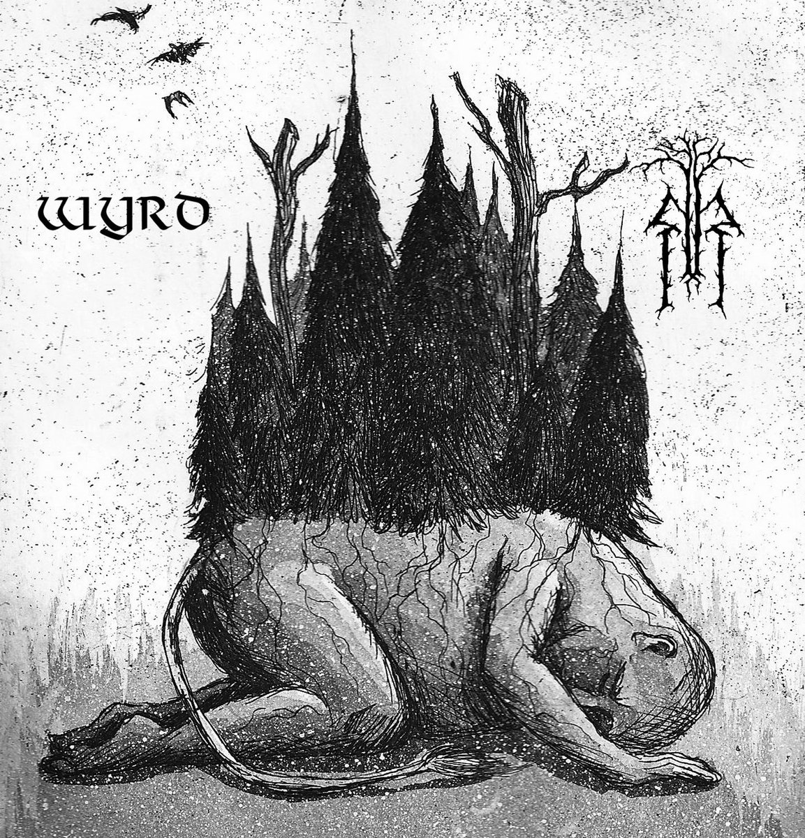 Kalmankantaja / Wyrd – Split